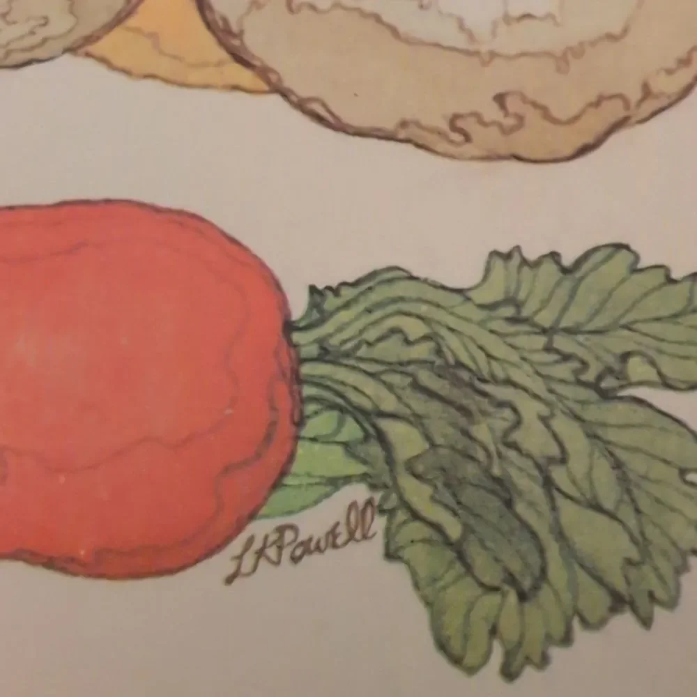 Vintage MCM Vegetable‎ Lk Powell Art Paper Stationary Lot Fold A Note